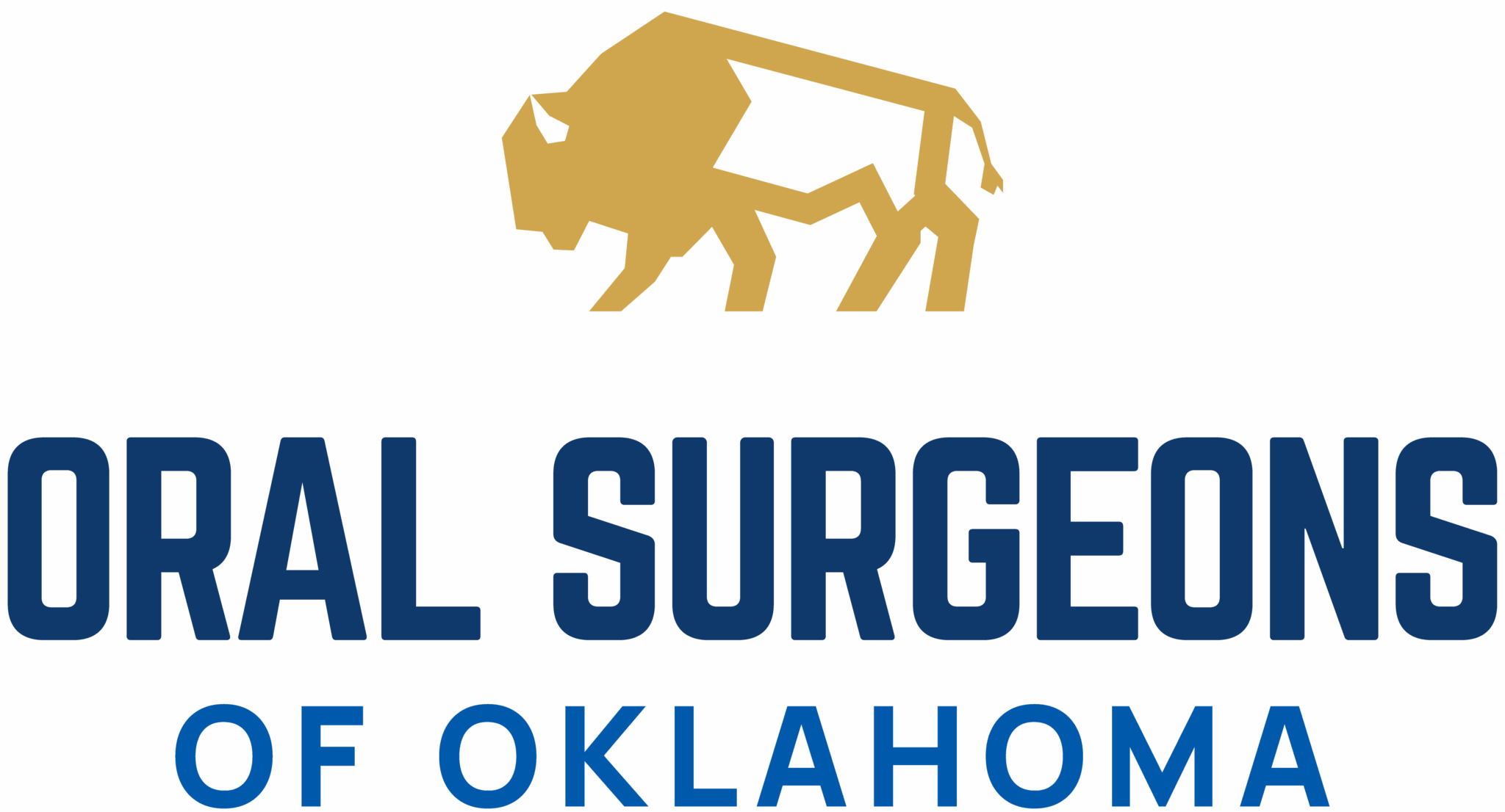 Partners - SALT Dental Partners